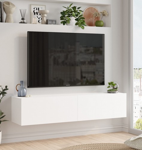 ����� �������� �� ��� HOMAX ARISTO FR10-W