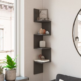 ��� ���� ����� ��� ��� ����� Homax Kars WL9-AN