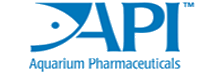 API