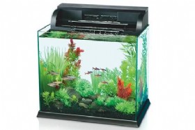 �������� ��� 35 �"�, ������, 18.9 ����, �������� WOA19 ����� ������ AQUA SYNCRO