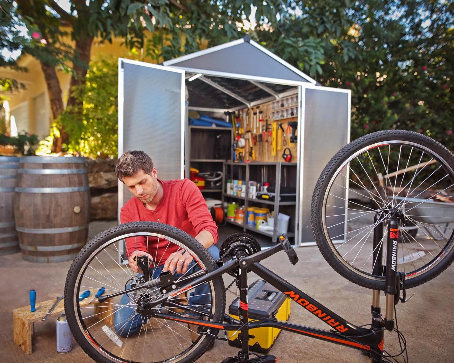 ���� �����