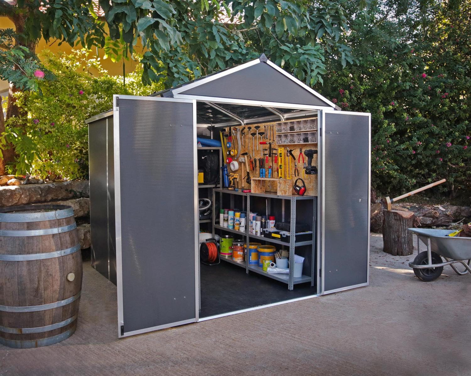 ���� �����