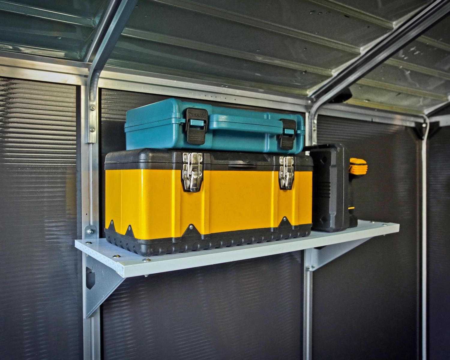 ���� �����